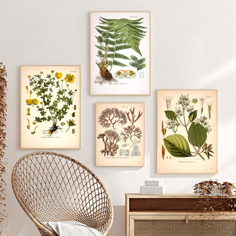 Resin Art Wall - Vintage Medicinal Plants Botany Educational Wall